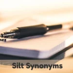 Silt Synonyms