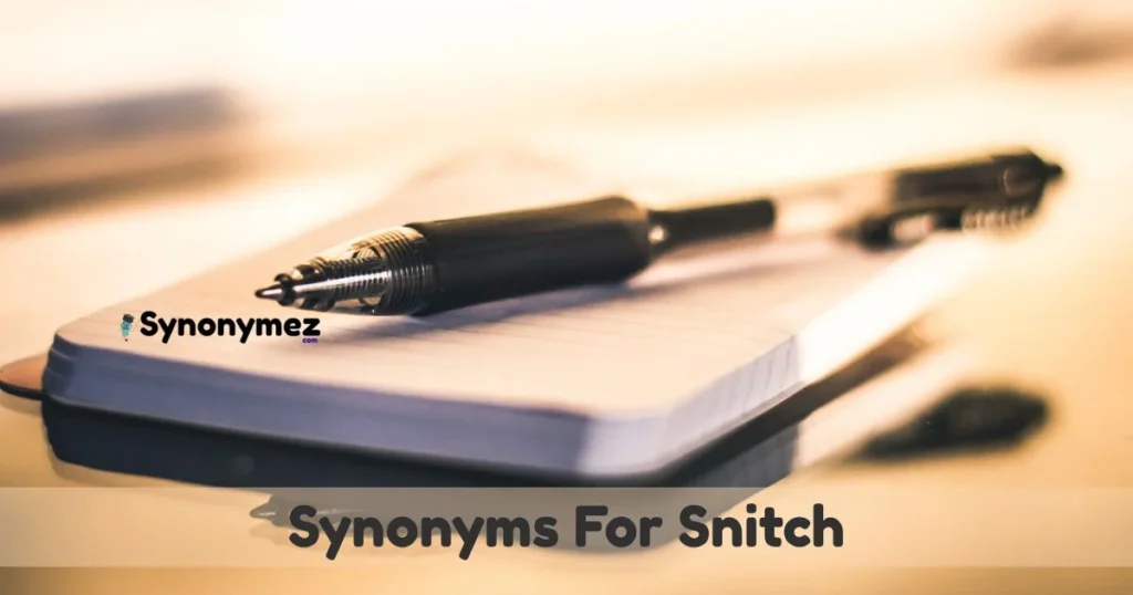 Synonyms For Snitch